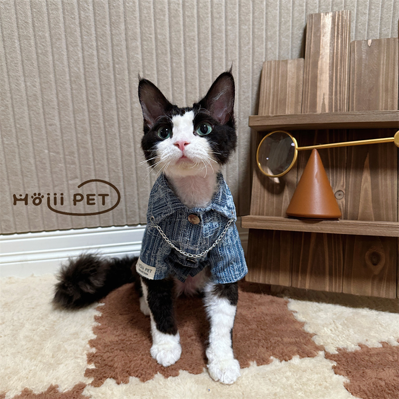 HOiii PET 原创链条牛仔衬衫德文猫衣服无毛猫衣服柔软棉制潮酷