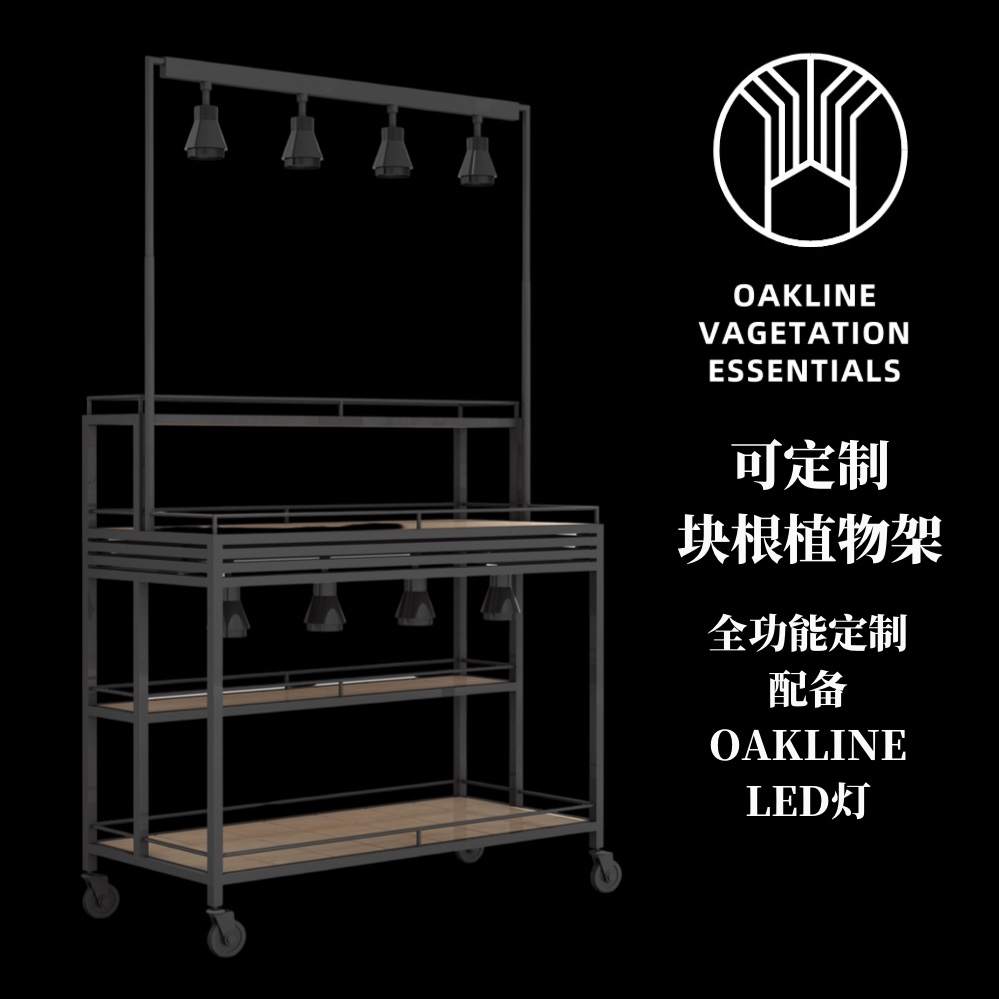 OAKLINE 植物置物架 块根植物架 收纳架 植物收纳 多肉 块根 定制