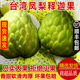 台湾凤梨释迦果大目番荔枝新鲜水果大果热带孕妇水果5斤顺丰包邮