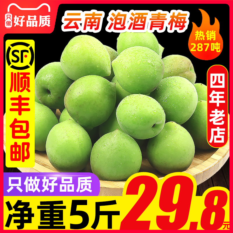 顺丰青梅果5斤当季新鲜现摘水果泡酒鲜果酸生青梅子诏安包邮云南|ruв категории водной мясо/свежие фрукты и овощи/еда, свежие фрукты, другие - от Buy2taobao.com для оказания профессиональной услуги покупки агента Taobao