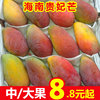 【中大果】海南貴妃芒果新鮮應季水果整箱熱帶甜心芒10斤包郵整箱 【中大果】海南貴妃芒果新鮮應季水果整箱熱帶甜心芒10斤包郵整箱