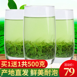 家乡妹信阳毛尖2019新茶叶绿茶雨前春茶散装茶农自产自销共500g