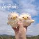 airpods23代毛线绒软壳pro耳机小鸡适用苹果无线蓝牙保护套女可爱