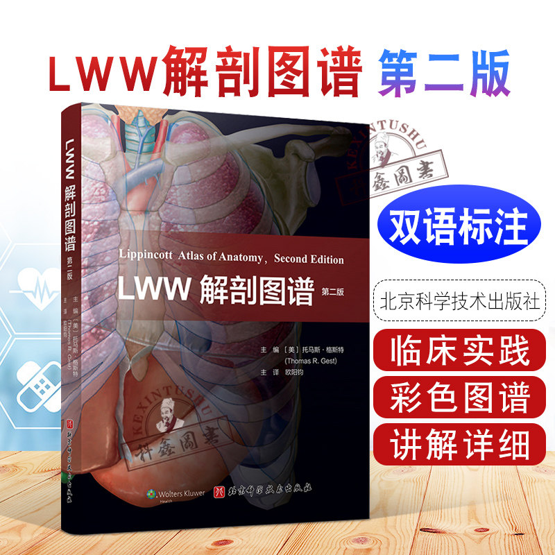 店书籍/杂志/报纸医学其它更新时间:2022年03月03日正版 lww解剖图谱