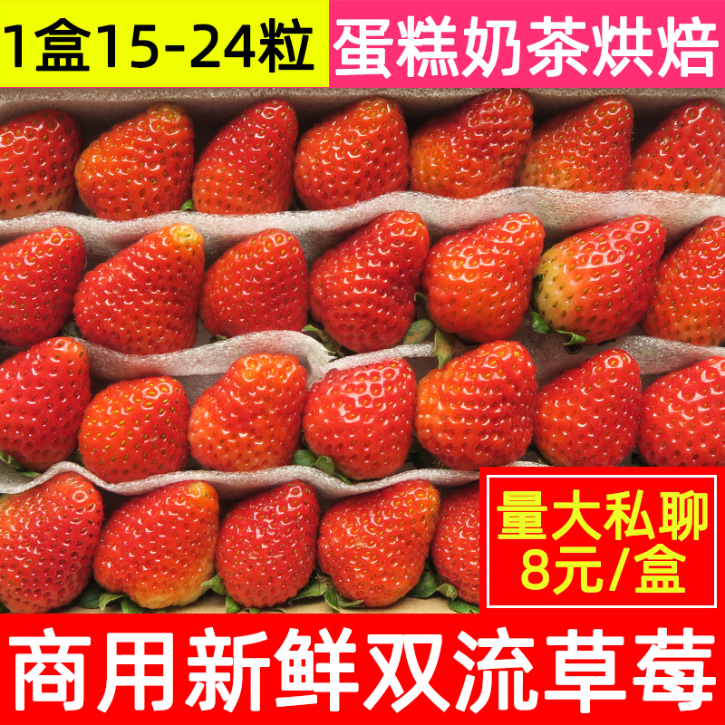 四季商用草莓新鲜双流草莓烘焙蛋糕奶茶装饰批发草莓4盒空运包邮在类目 水产肉类/新鲜蔬果/熟食, 新鲜水果, 草莓中 - 来自Buy2taobao.com提供专业的淘宝代购服务