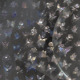 晶钻螺钿蝴蝶花朵美甲贴纸tomoni浮雕贝壳光5d玫瑰指甲贴纸装饰品
