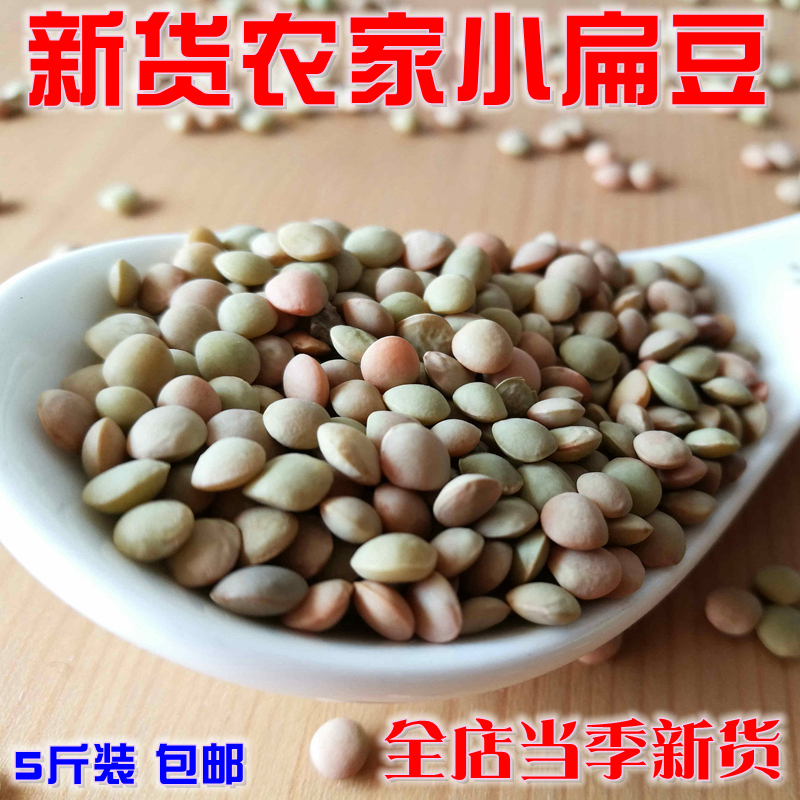 新货小扁豆5斤 绿扁豆种子可发豆芽