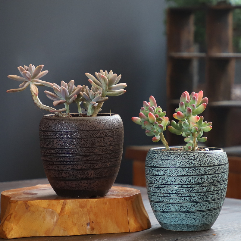 多肉花盆大号老庄特价清仓创意个性大口径粗陶透气陶瓷肉肉植物盆