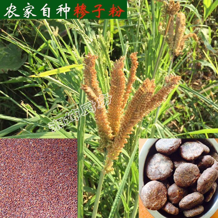 新化土特产糁子粑粉农家自种铲子粉穇子粉小米红栗米杂粮粗粮包邮