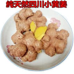 2斤包邮 四川土特产 峨眉小黄姜新鲜蔬菜调味土生姜老姜土姜250g