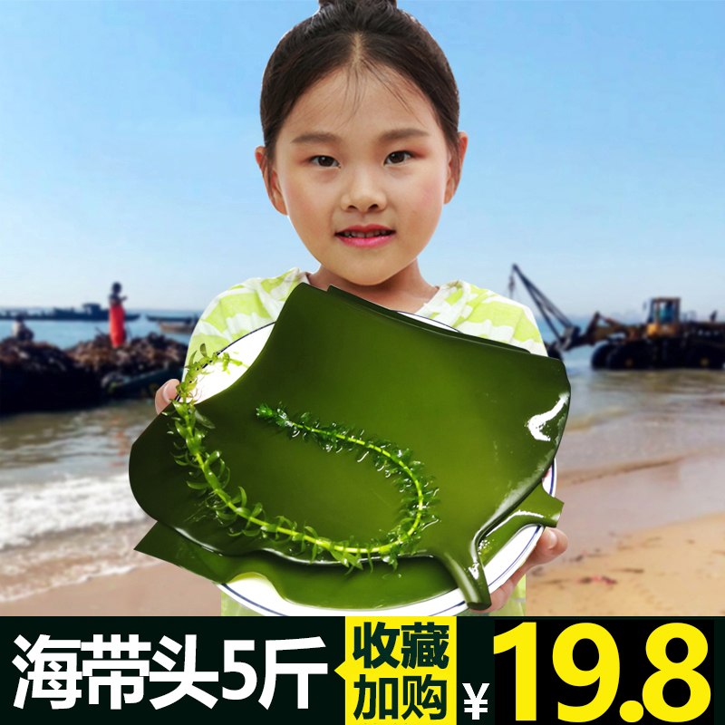 山東榮成海帶 頭5斤新鮮鹽漬特産厚昆布涼拌嫩半幹貨整箱包郵在類目 水產肉類/新鮮蔬果/熟食, 海鮮/水產品/製品, 藻類, 海帶中 - 來自Buy2taobao.com提供專業的淘寶代購服務