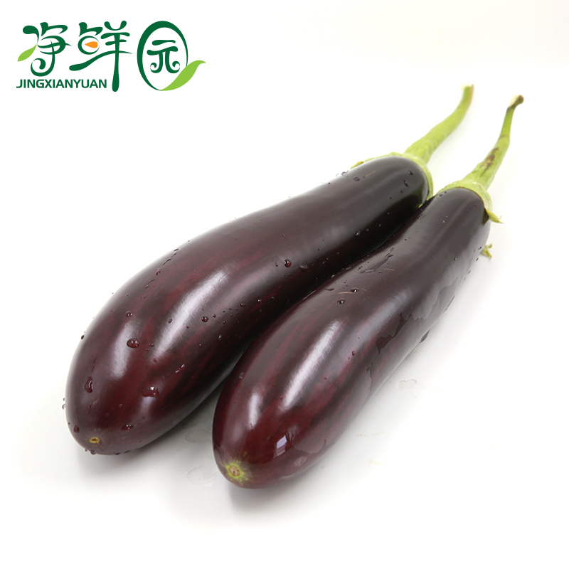 Miyun Beijing And sell Farm fresh Long eggplant Pollution Season 500g Vegetablesin the Aquatic meat/Fresh fruits and vegetables/Cooked , Fresh vegetables/Vegetable products , Fresh vegetables , Other category - from Buy2taobao.com to provide professional Taobao agent buy service
