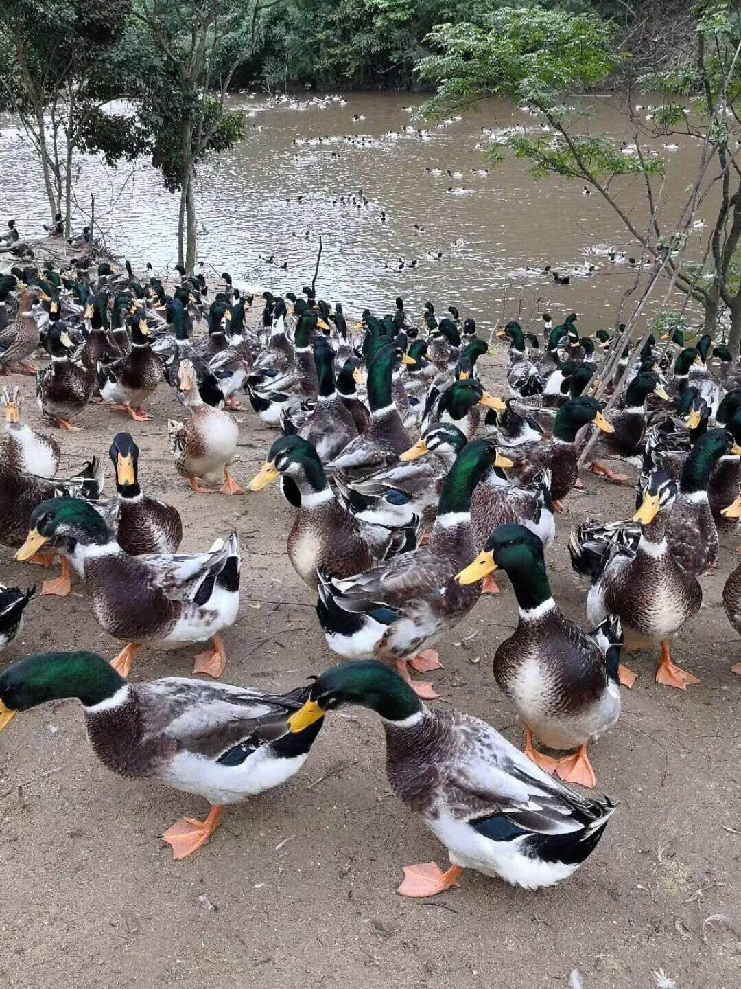 雄宇优惠专场,最新打折特卖商品,淘宝天猫优惠券领取-35优惠券网站