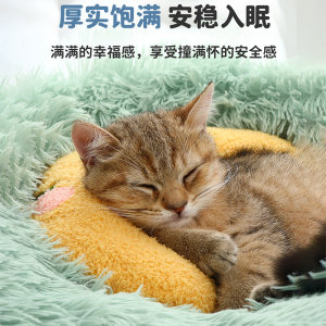 猫枕头睡觉毛绒图片