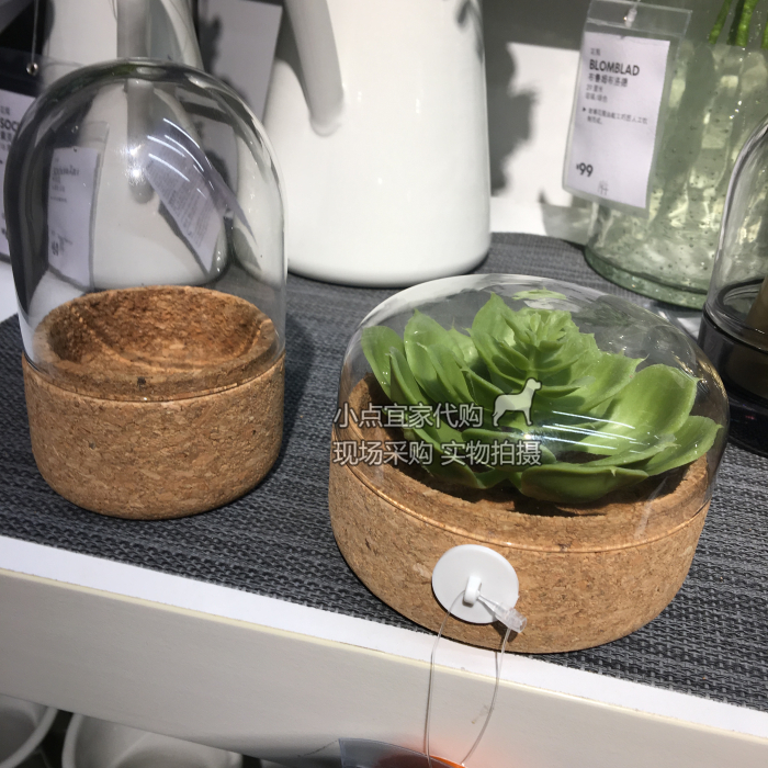 Ningbo Shanghai IKEA Salmon Nordic Mini Botany Glass cover Decorative pots Domestic purchasingin the Home accessories , Decorative items , Decorative pots category - from Buy2taobao.com to provide professional Taobao agent buy service