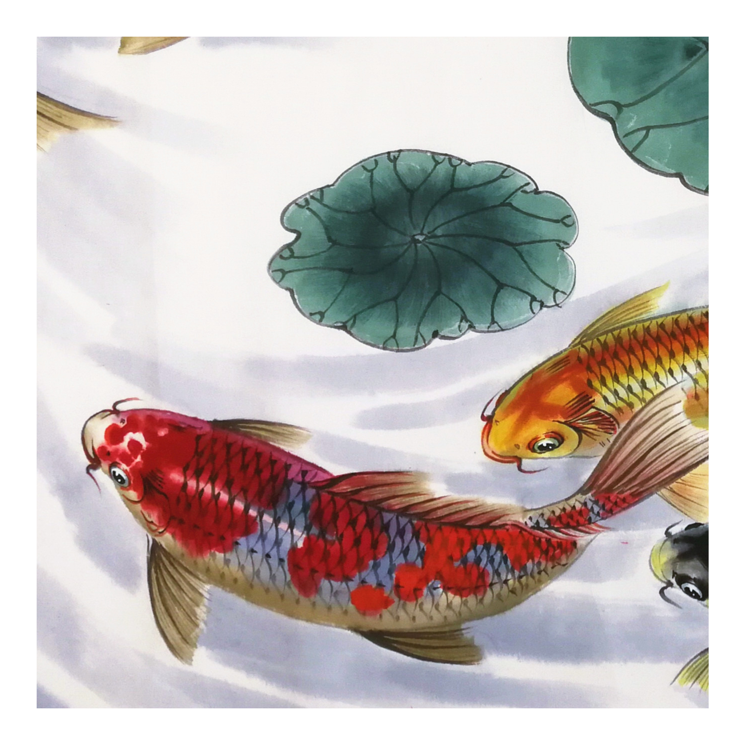 (朝鲜)画鱼名家 金成明《如鱼得水》万寿台美术创作社 星朝