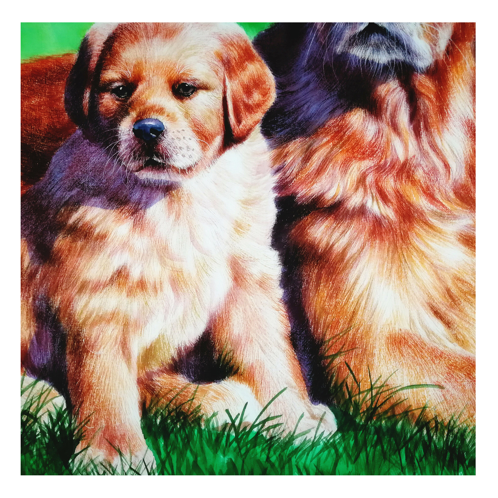 (朝鲜)金成男《狗》平壤美术大学 星朝画廊