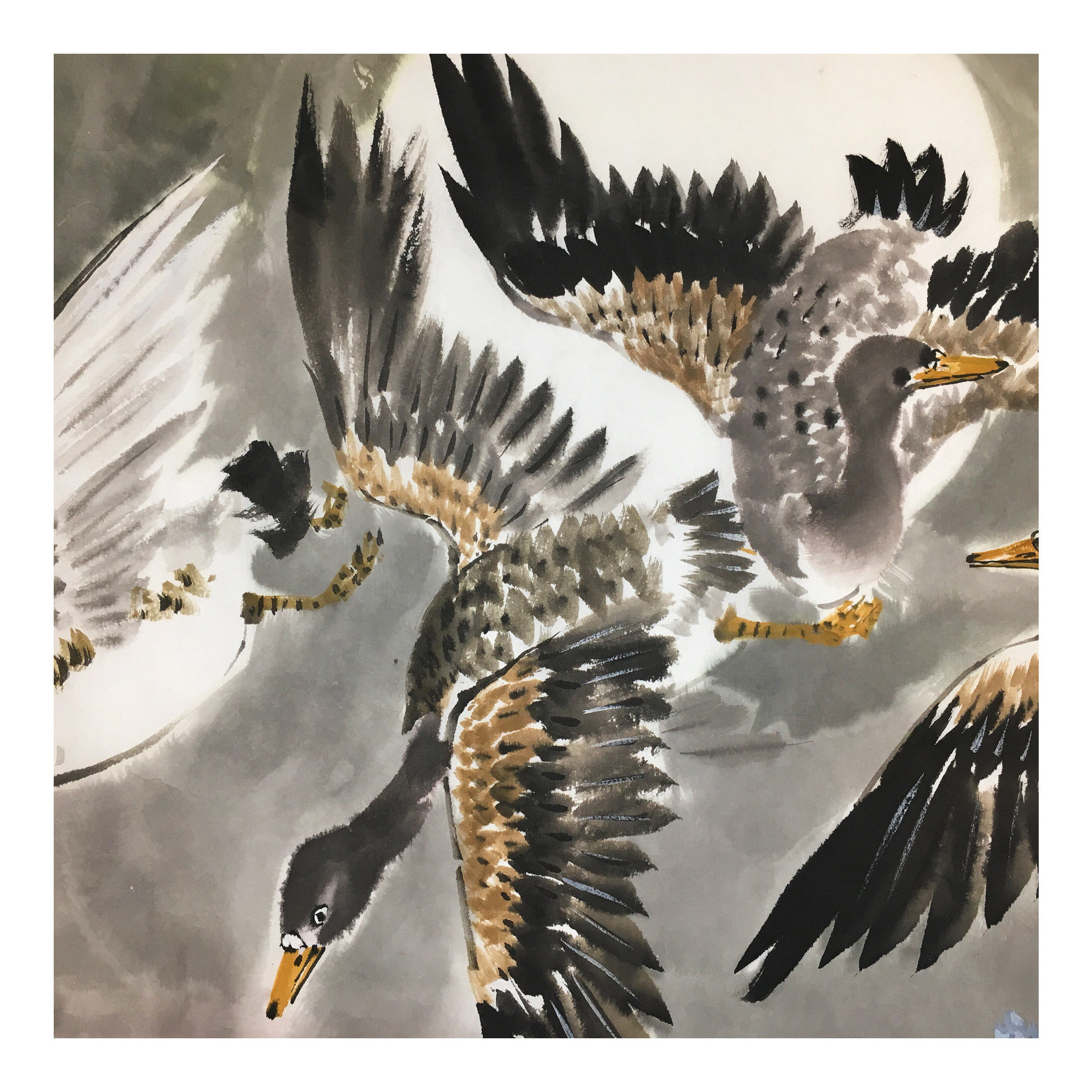 (朝鲜)赵朱研《飞翔的大雁》平壤美术大学 星朝画廊