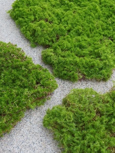 仿真苔藓块植毛石头大小搭配造景装饰青苔石青苔草坪植绒摆件软装