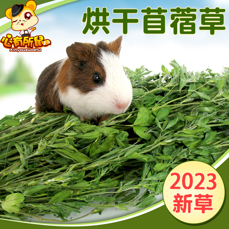 烘干苜蓿草2023新草兔粮兔子饲料