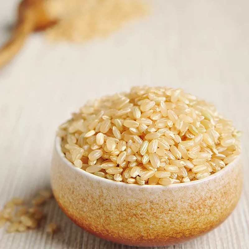 农夫慢 糙米糙米新米500g 胚芽米发芽米五谷杂粮粗粮满5斤免邮