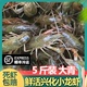 十三香龙虾5斤装大青虾活虾鲜活新鲜789钱小龙虾虾子大虾