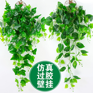 仿真植物假花藤条藤蔓装饰绿植墙墙壁挂花吊篮绿萝墙面爬山虎壁挂