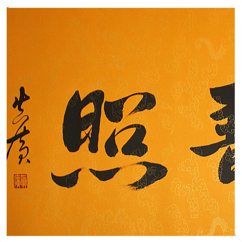 真广法师《佛光普照》河北省佛学院副院长