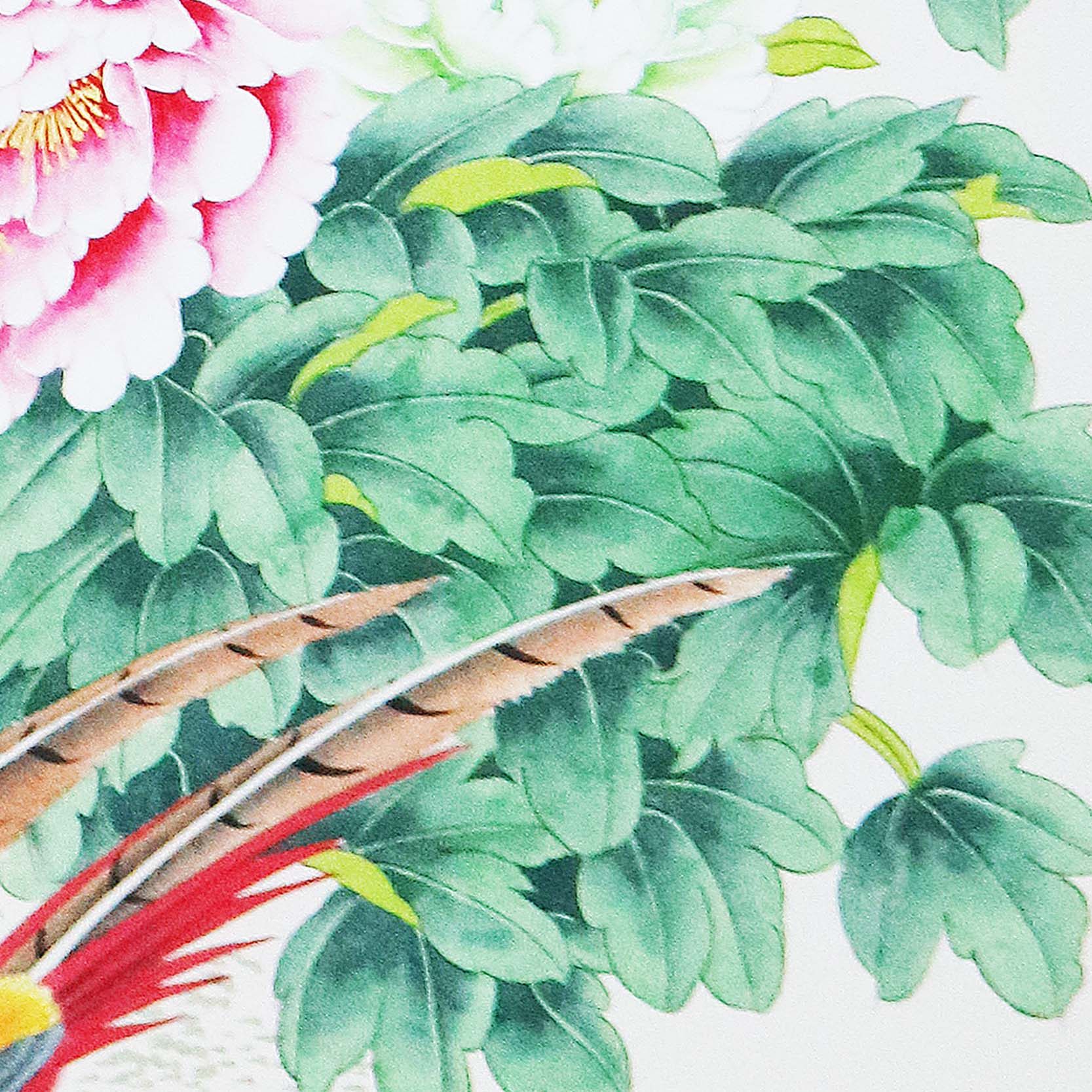 金鸿钧《花开富贵01》中国著名花鸟画家