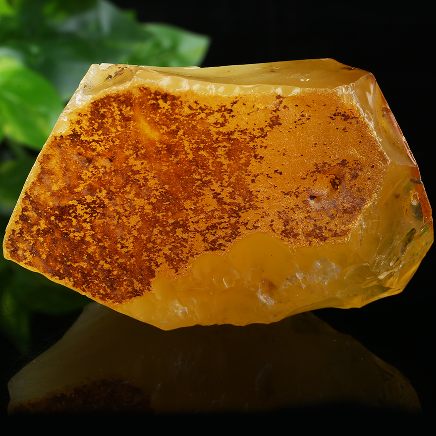 62.79g 【强荧光】收藏级精美带皮琥珀原石