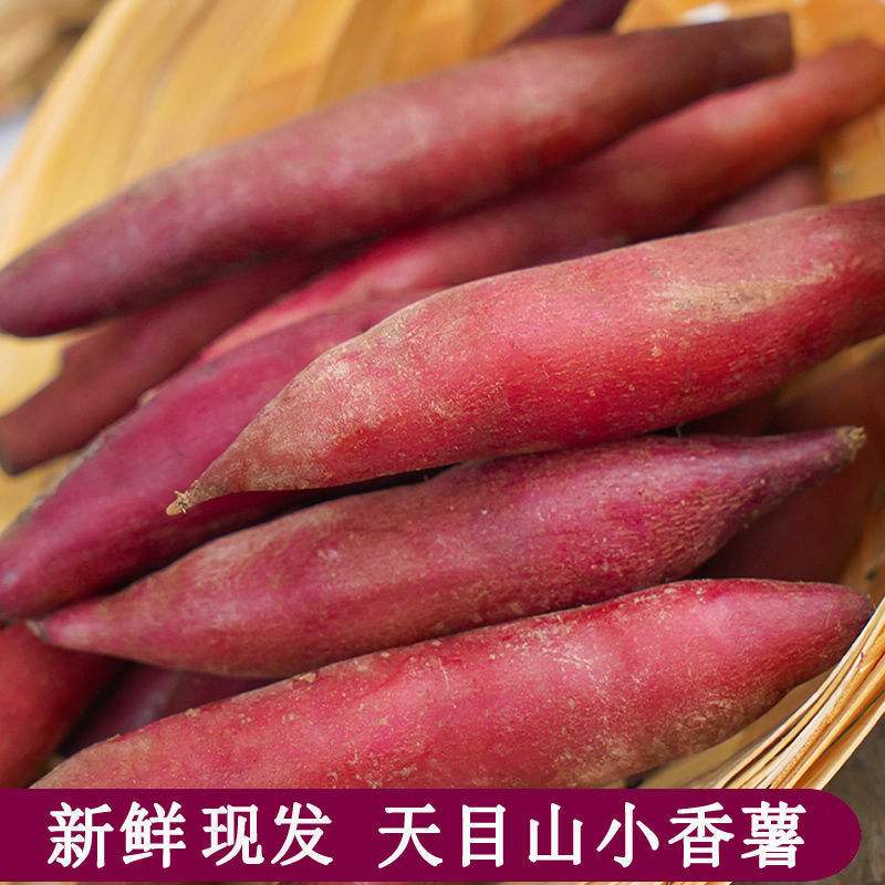 天目山小香薯5斤新鲜红薯正宗板栗小番薯地瓜蜜山芋蕃薯天目番薯