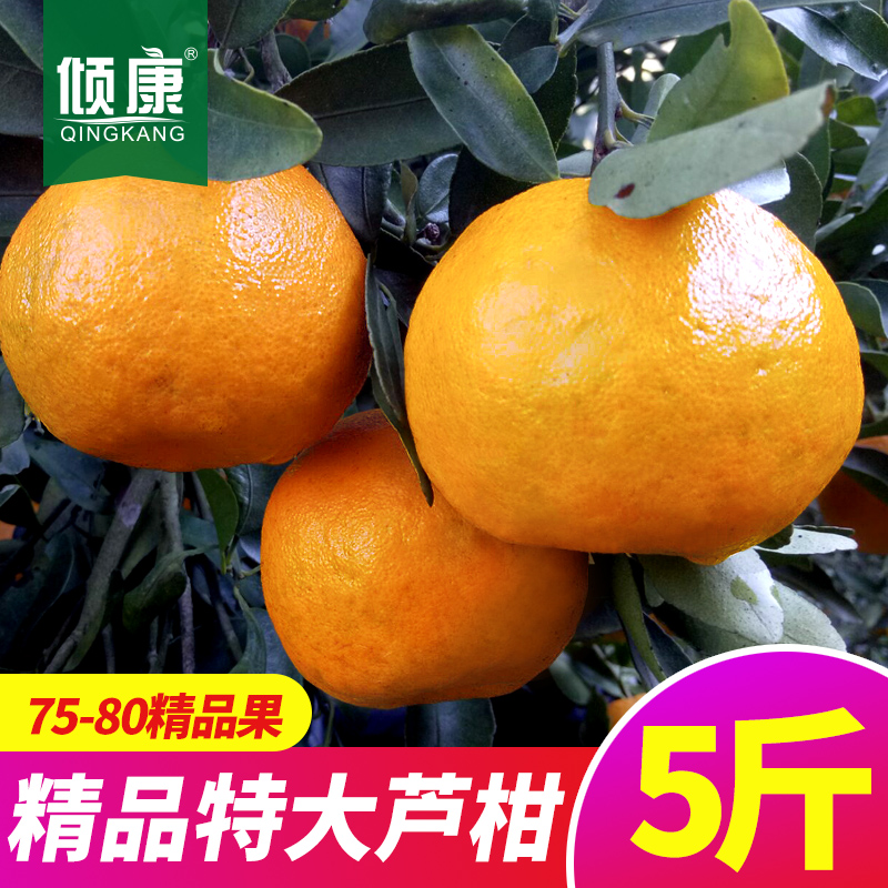 福建永春蘆柑水果新鮮包郵橘子桔子75-80mm精果農家特産5斤裝在類目 水產肉類/新鮮蔬果/熟食, 新鮮水果, 桔子中 - 來自Buy2taobao.com提供專業的淘寶代購服務