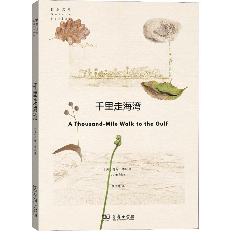 千里走海湾 (美)约翰·缪尔(John Muir) 著 侯文蕙 译 现代/当代文学文学 新华书店正版图书籍 商务印书馆