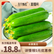 鲜馥水果黄瓜3斤/4.5斤