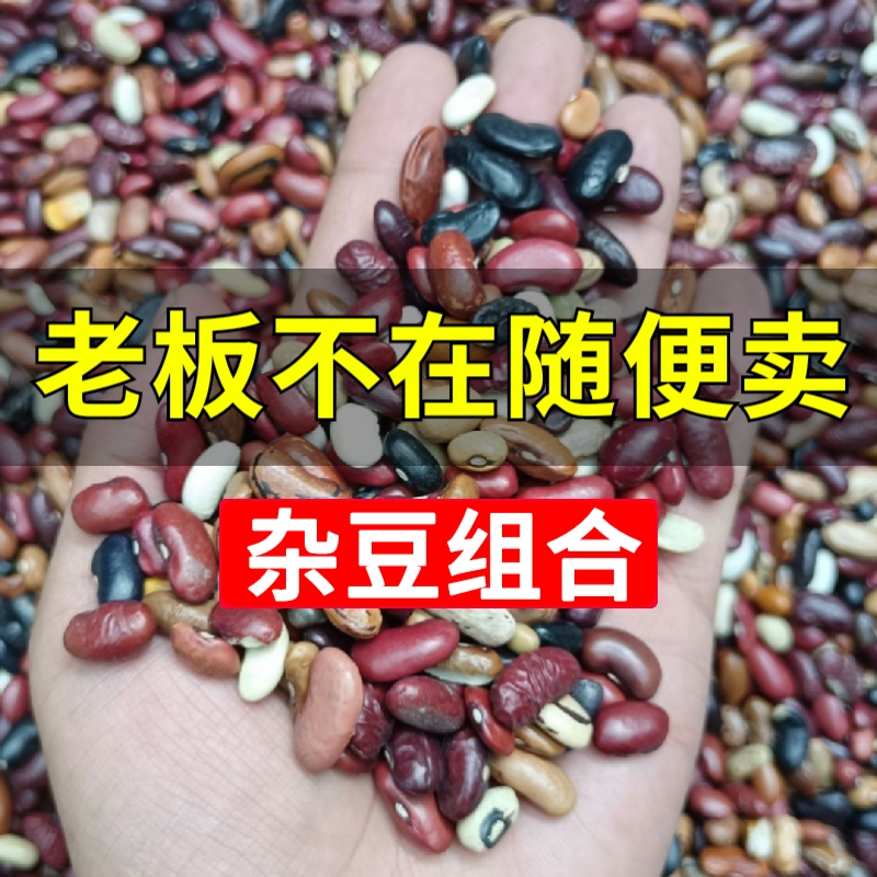 杂芸豆 山西农家自产杂豆组合腰豆红豆沙八宝粥原料杂粮豆类包邮