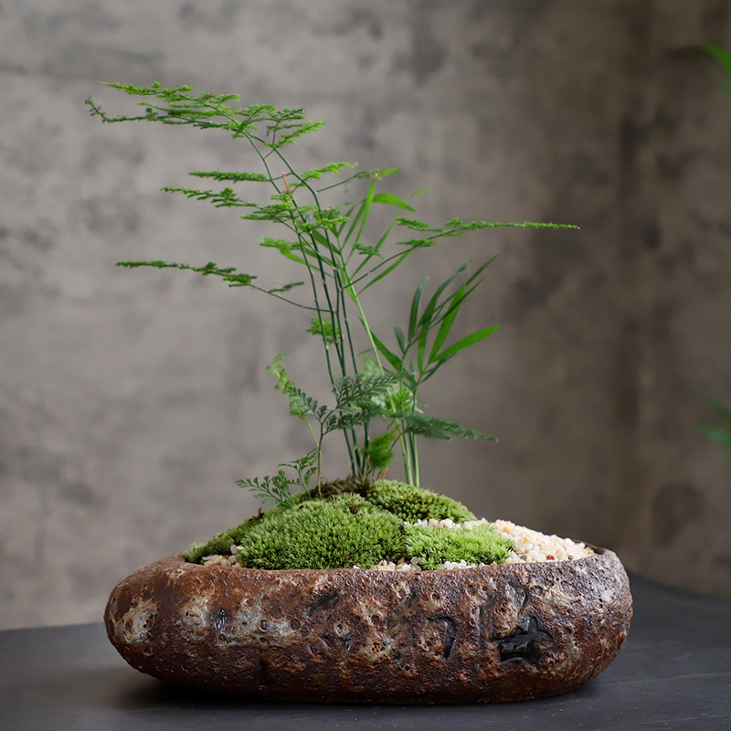 海纳百川复古绿萝肉肉植物盆大号室内拼盘大口径简约多肉花盆创意