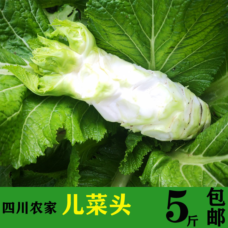 四川儿菜头新鲜包邮儿菜脑壳抱儿菜梆子新鲜 5斤耳菜梆子10斤