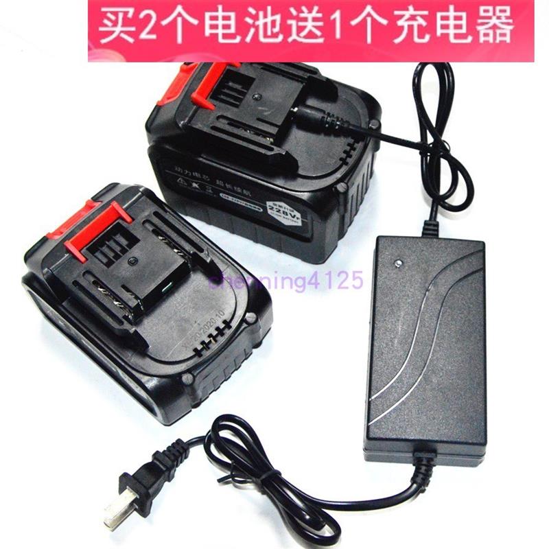 20V21V40V48VF高压洗车清洗机水泵锂电池 关心进军蛟龙电源充电器