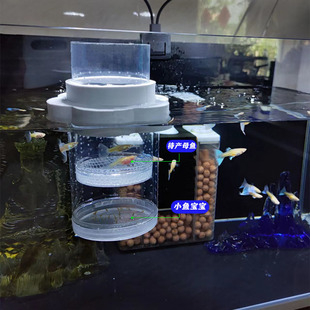 孔雀鱼繁殖盒鱼缸隔离盒凤尾玛丽幼鱼母鱼产房小鱼苗漂浮孵化神器