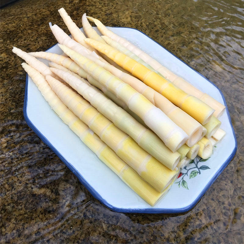 小竹笋新鲜野生竹笋嫩笋尖干货罗汉笋火锅笋春笋500克*5袋包邮