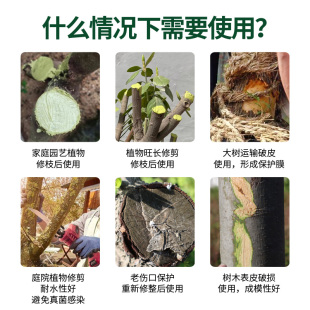 国光糊涂植物伤口愈合剂树木果树嫁接树枝盆景剪枝愈合泥愈合膏贴