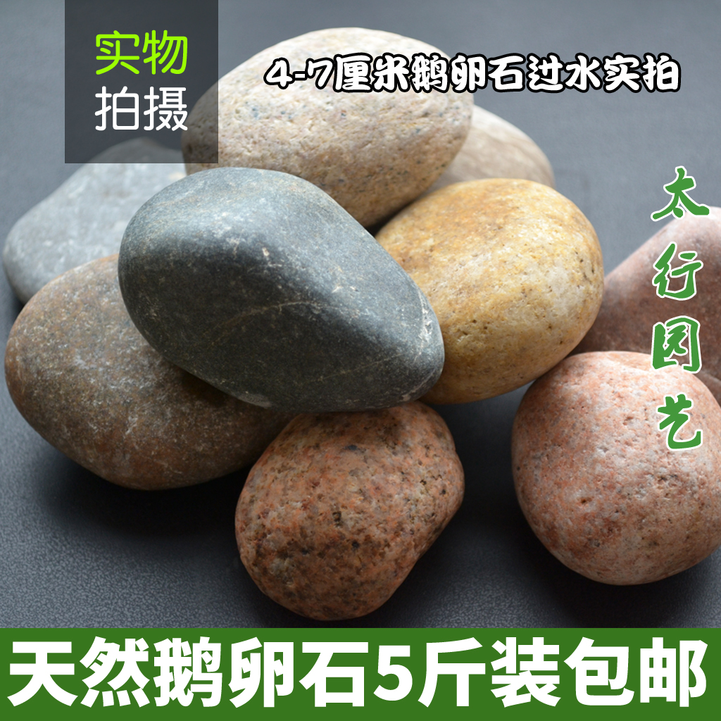 天然鹅卵石大号河卵石户外铺路石头鱼缸水族庭院景观园林造景装饰在类目 鲜花速递/花卉仿真/绿植园艺, 园艺用品, 其它园艺用品中 - 来自Buy2taobao.com提供专业的淘宝代购服务