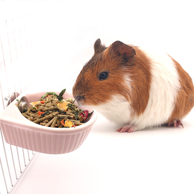 【荷兰猪】的热销产品展示—折扣信息/价格/货源批发—品牌女装网