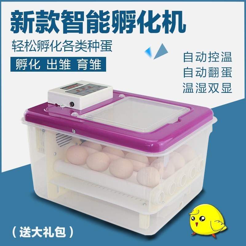 鸡蛋浮蛋箱家用小型孵化机全孵化箱小鸡孵化设备卵化机卵化器|msdalam kategori perkakasan/alat, instrumen, Peralatan elektrik - dari Buy2taobao.com untuk memberikan perkhidmatan ejen Taobao profesional membeli