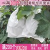 萄葡专用袋套户外种植庭院纸果树纸袋防鸟虫防水袋子水果育果袋|ru 萄葡专用袋套户外种植庭院纸果树纸袋防鸟虫防水袋子水果育果袋|ru