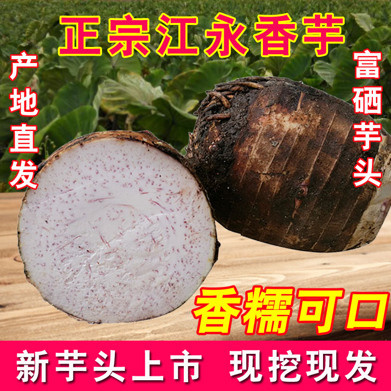 正宗湖南江永香芋新鮮毛芋頭農家自種現挖粉糯槟榔芋大果5斤包郵在類目 水產肉類/新鮮蔬果/熟食, 新鮮蔬菜/蔬菜製品, 新鮮蔬菜, 芋頭中 - 來自Buy2taobao.com提供專業的淘寶代購服務