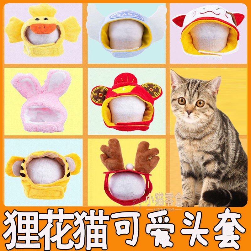 狸花猫专用小猫狮子头套猫咪装扮宠物拍摄道具香蕉猫猫咪戴的帽子