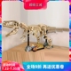 中国积木侏罗纪76968霸王龙化石骨架男孩子拼装恐龙玩具儿童礼物