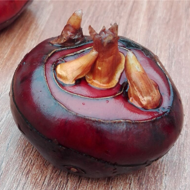 耒青农品的优惠券大全—湖北团风特产新鲜红马蹄荸荠当季水果脆栗梨