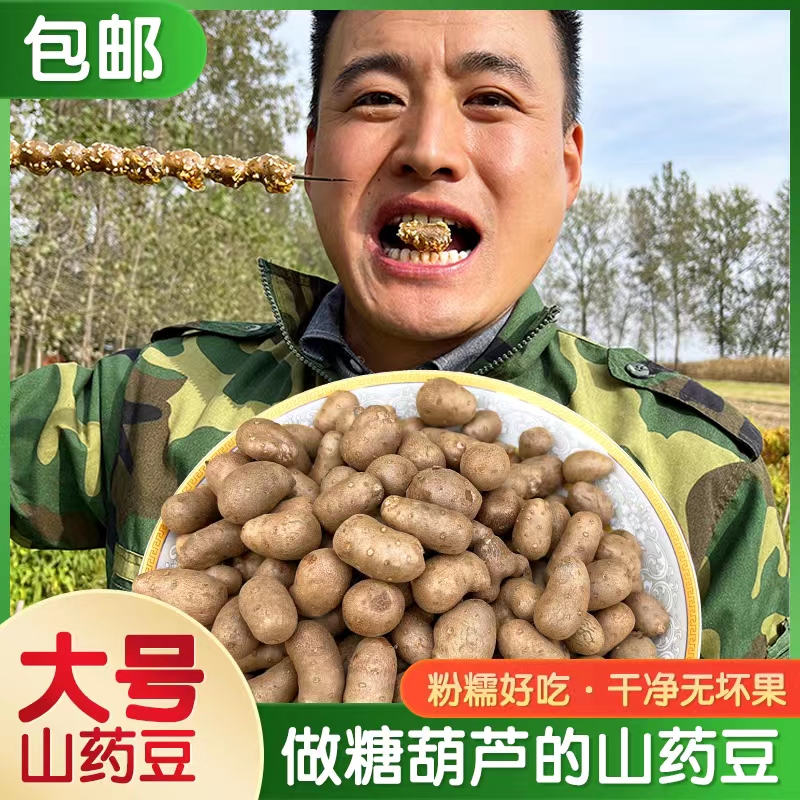 山东新鲜大号颗粒铁棍山药豆陈集农家淮怀山药蛋山药豆5斤